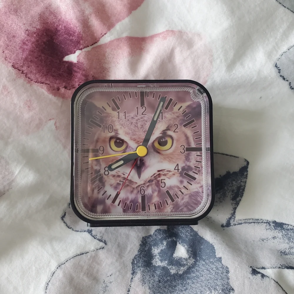 🥝 Owl Mini Square Analog Clock